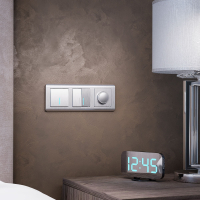 Диммер (cеребряный рифленый) Werkel W1142009