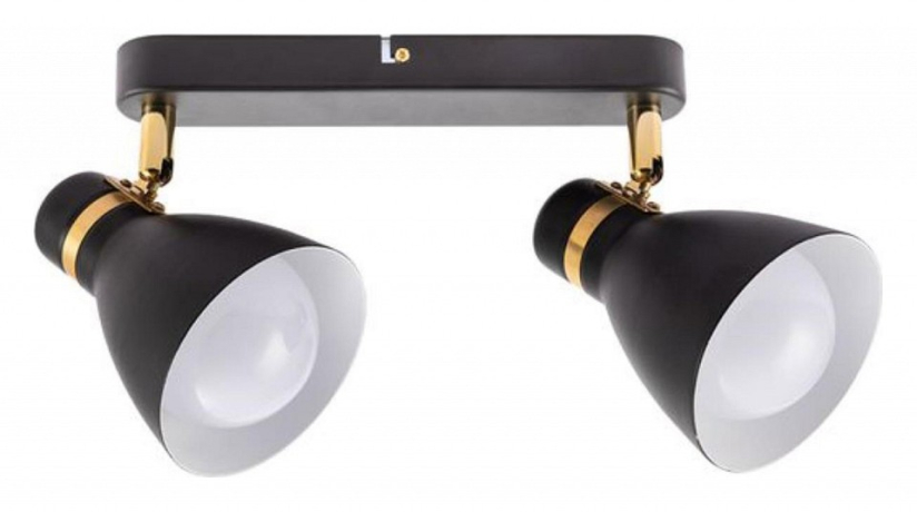 Спот Arte Lamp Fafnir A5047PL-2BK 