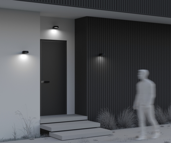 Настенный светильник (бра) Outdoor O443WL-L12GF3K Share 