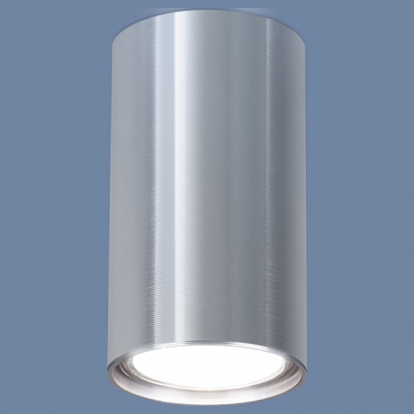 Накладной светильник Elektrostandard 1081 a038491 