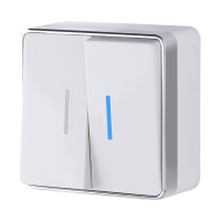 Выключатель двухклавишный с подсветкой Gallant (белый) Werkel W5020101