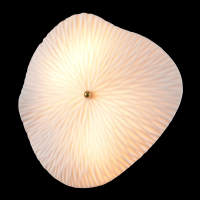 Бра с лампочками CRYSTAL LUX CONTESSA AP2.2+Lamps