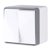 Выключатель двухклавишный накладной влагозащищенный (белый) Werkel Gallant WL15-03-02 (a036774)