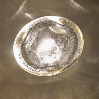 Нарушена упаковка!  <738606> Настенный светильник Odeon Light L-Vision Mela