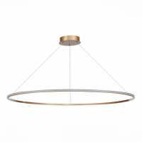 Подвесная светодиодная люстра St Luce OUT ST604.243.57