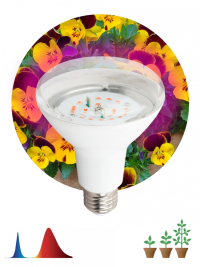 Нарушена упаковка! <163733> Фитолампа для растений светодиодная ЭРА FITO-16W-RB-E27-K красно-синего спектра 16 Вт Е27 Б0039072