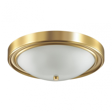 Потолочный светильник с лампочками LUMION 5259/3C+Lamps 