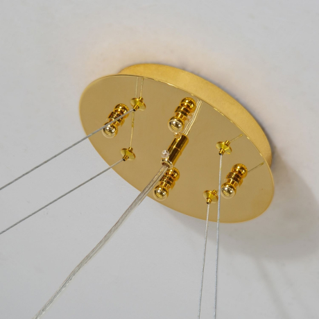 Подвесная люстра Favourite Parra 4161-12P 