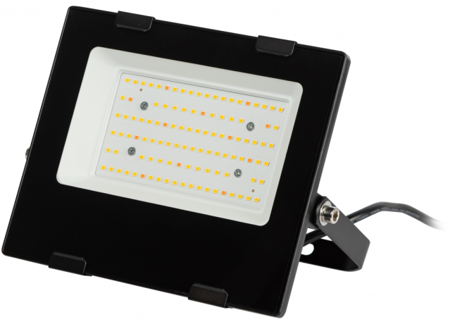 Фитопрожектор для растений светодиодный ЭРА FITO-50W-Ra90-LED для цветения и плодоношения полного спектра 50 Вт Б0047875 