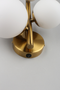 Бра в комплекте с Led лампами APLOYT APL.314.01.03+Lamps