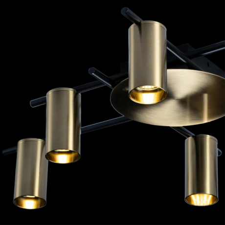 Люстра потолочная Loft It Tribes 8120C-6 