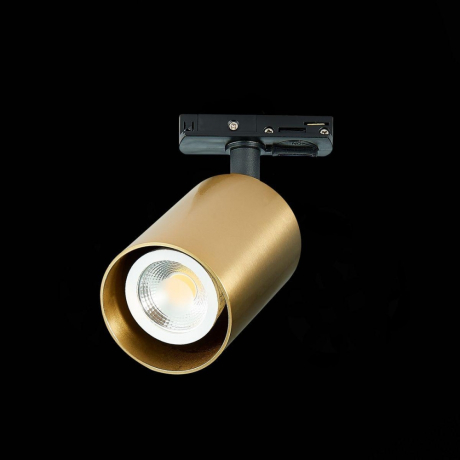 Однофазный светильник для трека ST-Luce ST302.206.01 