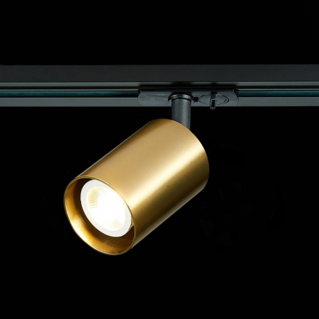 Однофазный светильник для трека ST-Luce ST302.206.01 