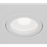 Встраиваемый светильник Maytoni Technical Atom DL024-2-01W 