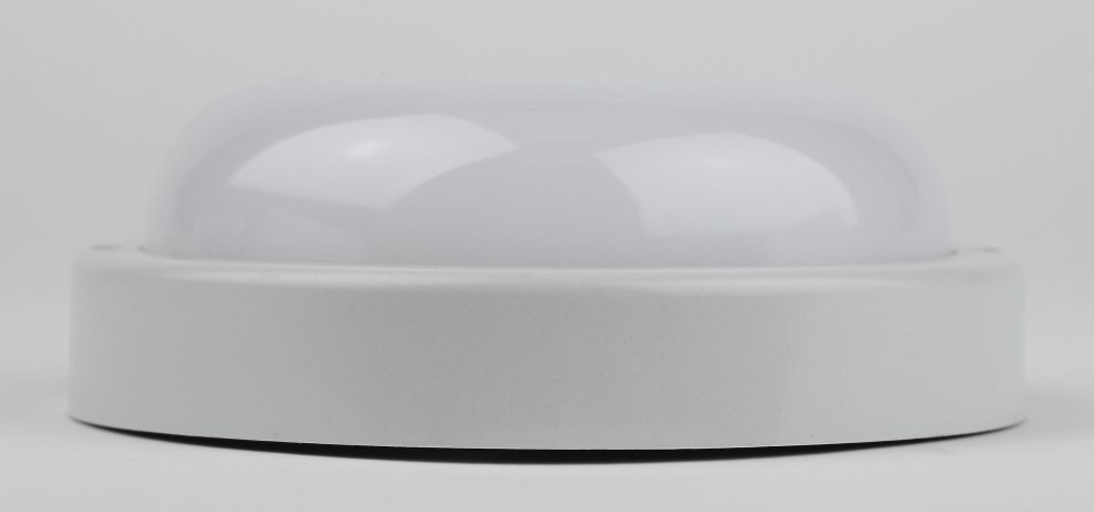 Светильник ЖКХ светодиодный Эра SPB-201-0-65К-015 (Б0047624)