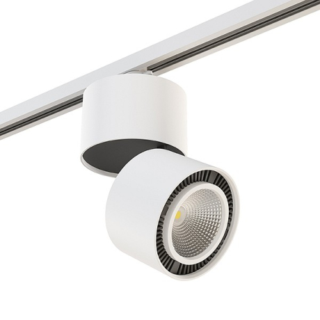 Накладной светильник Lightstar Forte Muro A1T214850 