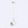 Подвесной светильник с лампочкой Ambrella light TR8205+Lamps 