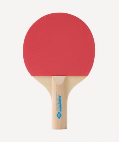 Нарушена упаковка!  <772249> Набор для настольного тенниса Tischtennis-Mini-Set, 2 детские ракетки, 3 мяча, сетка Donic ЦБ-00004525