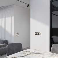 Сенсорный выключатель двухклавишный с подсветкой (шампань) W4522011 Werkel