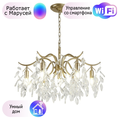 Подвесная люстра Favourite Brillo с поддержкой Маруся 3003-7P-М 