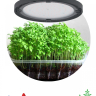 Фитопрожектор для растений светодиодный ЭРА FITO-50W-RB-LED-UFO красно-синего спектра 50 Вт IP65 Б0053280 