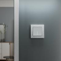 Выключатель одноклавишный с подсветкой без рамки Werkel белый матовый W1110161