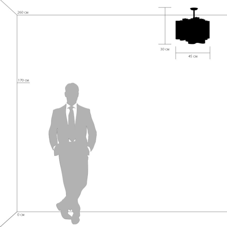 Потолочная люстра Lightstar Nubi 802030 