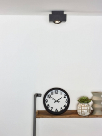 Потолочный поворотный светильник Lucide Xirax 09119/06/30