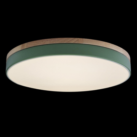 Накладной светильник Loft it Axel 10001/36 Green 