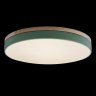 Накладной светильник Loft it Axel 10001/36 Green 