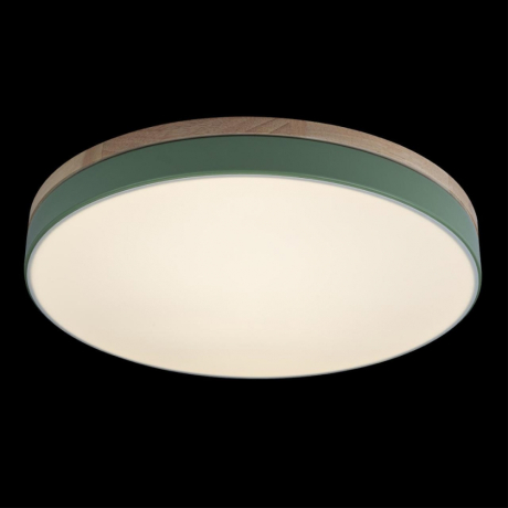 Накладной светильник Loft it Axel 10001/36 Green 