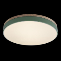 Накладной светильник Loft it Axel 10001/36 Green