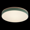 Накладной светильник Loft it Axel 10001/36 Green 