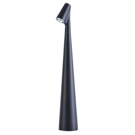 Настольная лампа декоративная Arte Lamp Fusion A3283LT-2BK