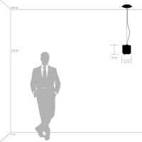 802110 Подвесная люстра LightStar Nubi