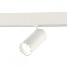 Светильник на штанге ST-Luce ST375 ST375.506.12 