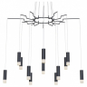 Подвесная люстра Maytoni Davida MOD035PL-12B 