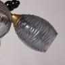Люстра потолочная с лампочками DeMarkt 463012505+Lamps 