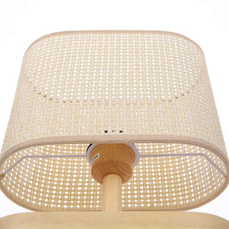 Настольная лампа декоративная Lumion Maderana 8201/1T 