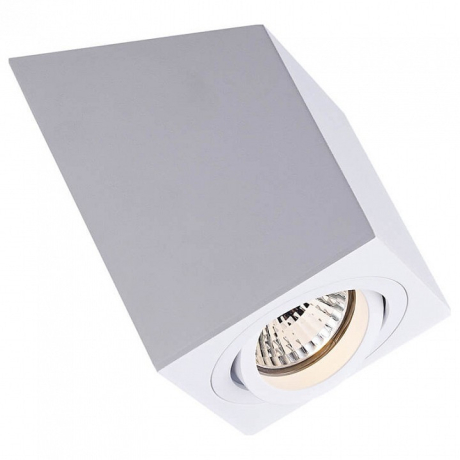 Спот Zumaline Roncub ACGU10-136 