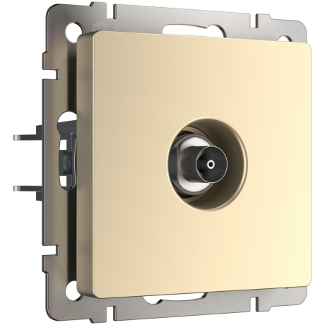 ТВ-розетка оконечная без рамки Werkel шампань W1183011