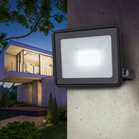 Прожектор светодиодный уличный Эра LPR-023-0-65K-030 (Б0052023)