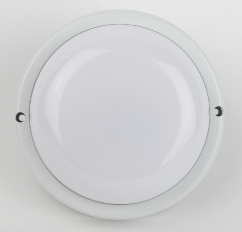 Светильник ЖКХ светодиодный Эра SPB-201-0-40К-012 (Б0047619)