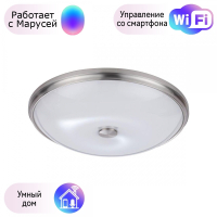 Настенно-потолочный светильник Pelow Odeon Light с поддержкой Маруся 4957/5-М