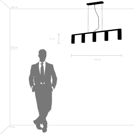 Подвесная люстра Lightstar Roma 718053 