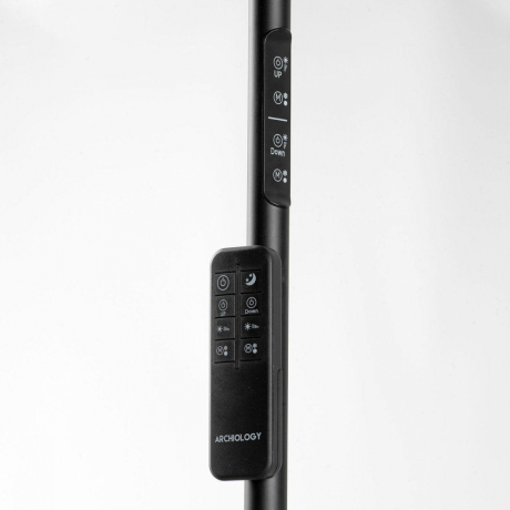 Торшер Lussole Carmel LSP-0901-SE 