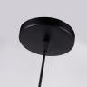 Подвесной светильник с лампочкой Ambrella light TR8442+Lamps 