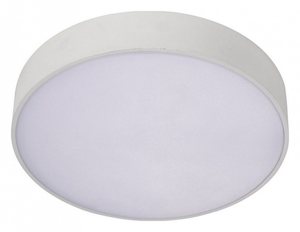 Накладной светильник Aployt Evon APL.0113.09.18 