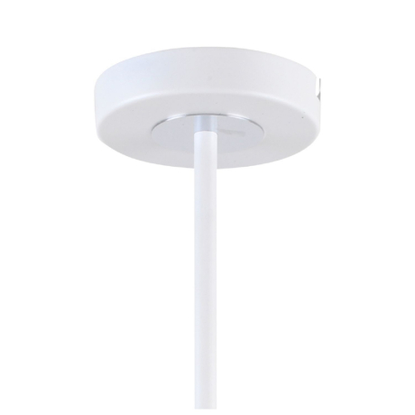 Люстра на штанге F-Promo Viator 2559-5P 