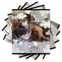 Нарушена упаковка!  <797131> Тетрадь обложка пластик, А5, 48 л., скоба, клетка, ErichKrause, "Dream Cat" (микс в спайке), 54161 (405266)